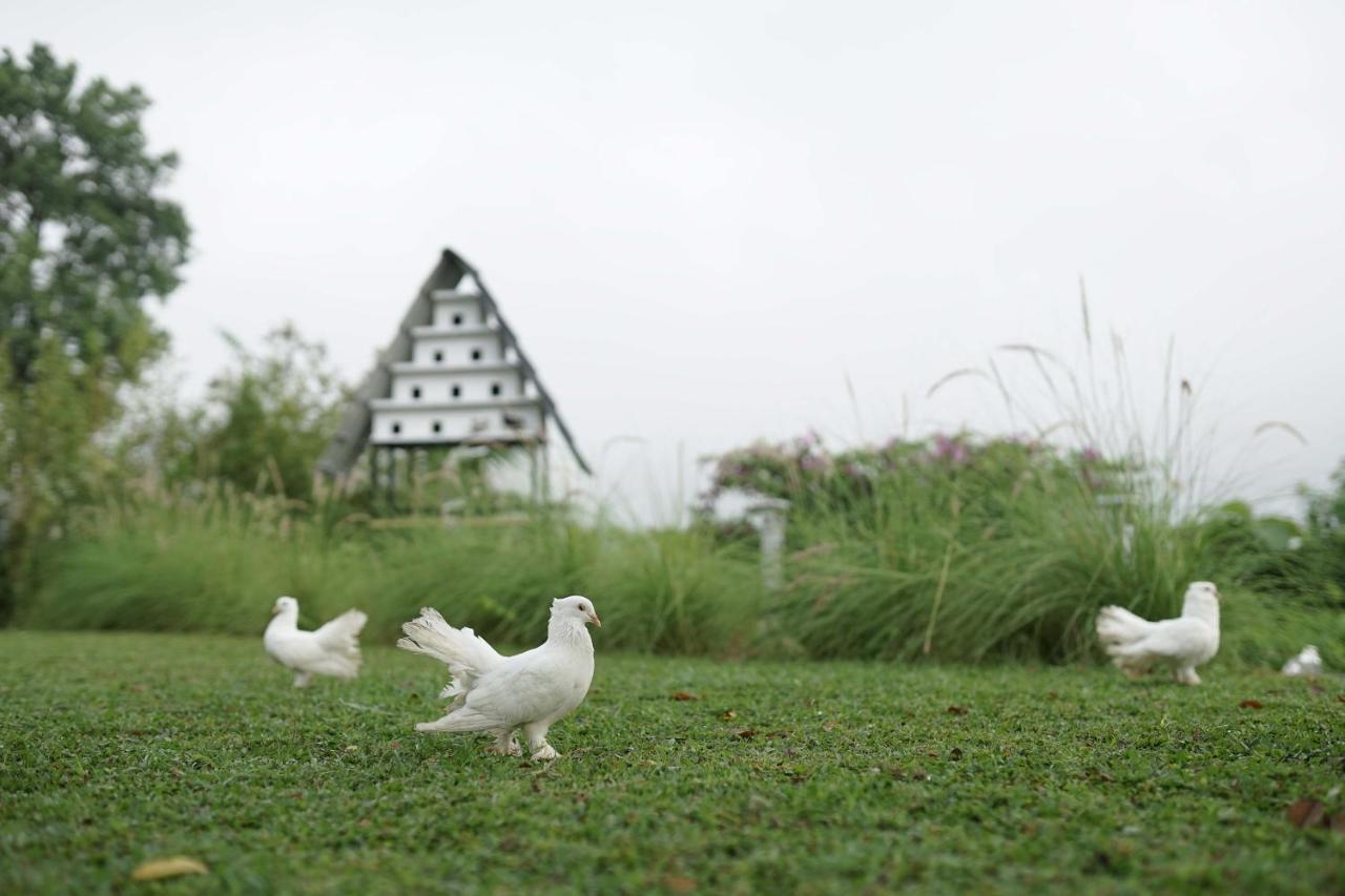 Abhayagiri - Sumberwatu Heritage Resort Randugunting Buitenkant foto