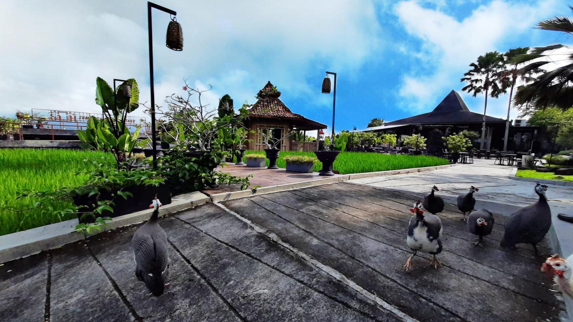Abhayagiri - Sumberwatu Heritage Resort Randugunting Buitenkant foto