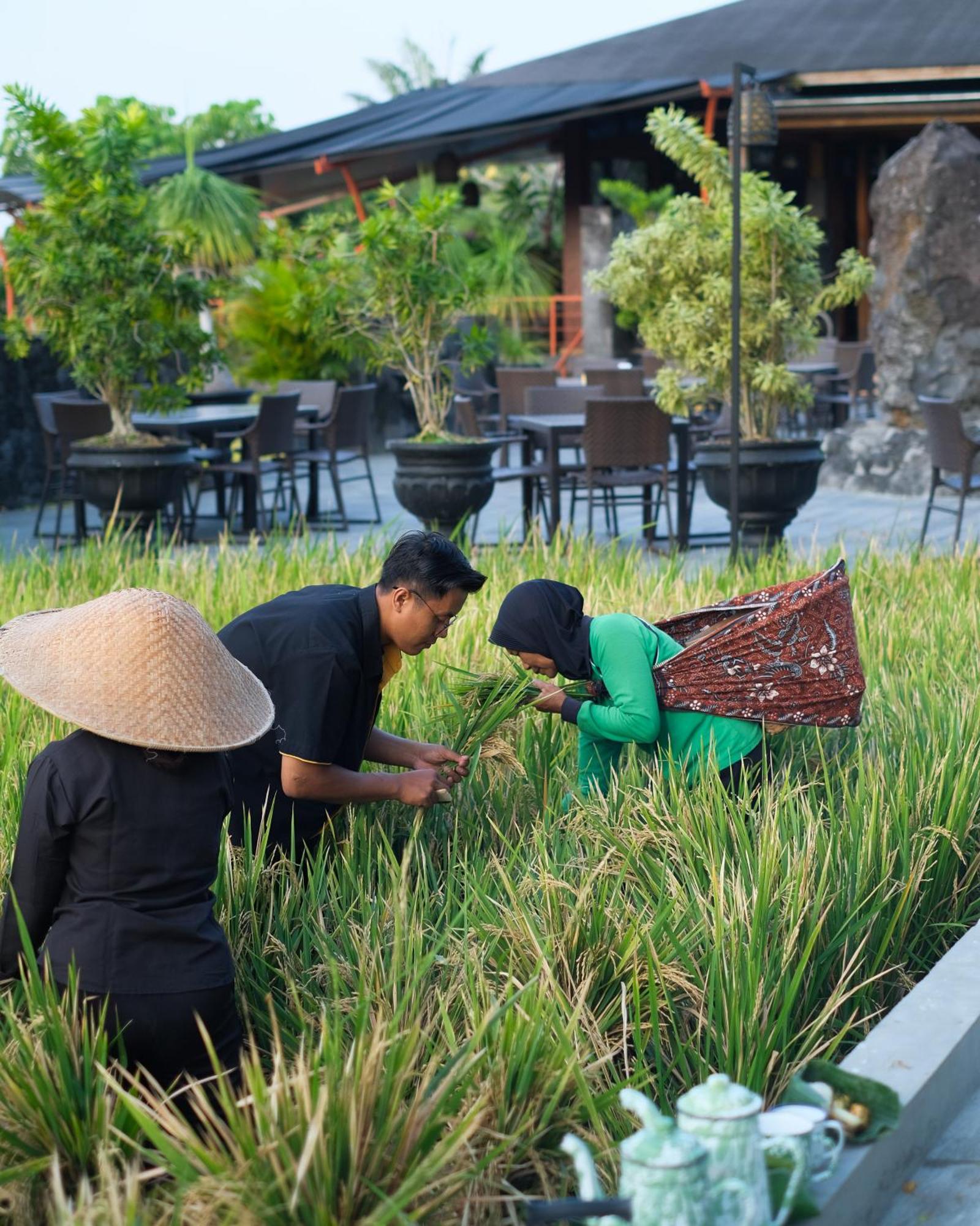 Abhayagiri - Sumberwatu Heritage Resort Randugunting Buitenkant foto